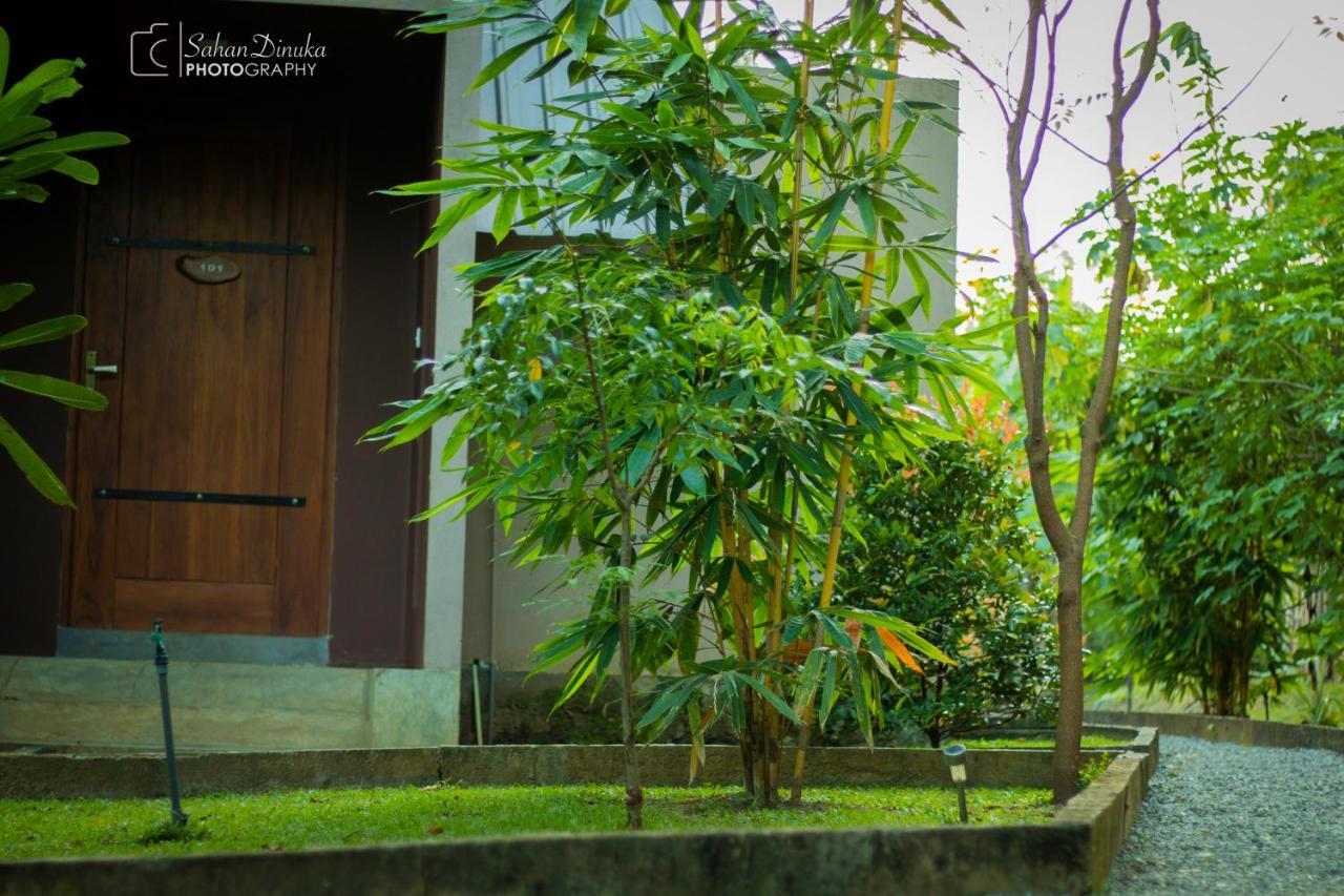 Hantara Udawalawa Udawalawe Luaran gambar