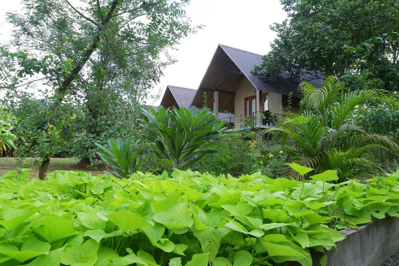 Hantara Udawalawa Udawalawe Luaran gambar